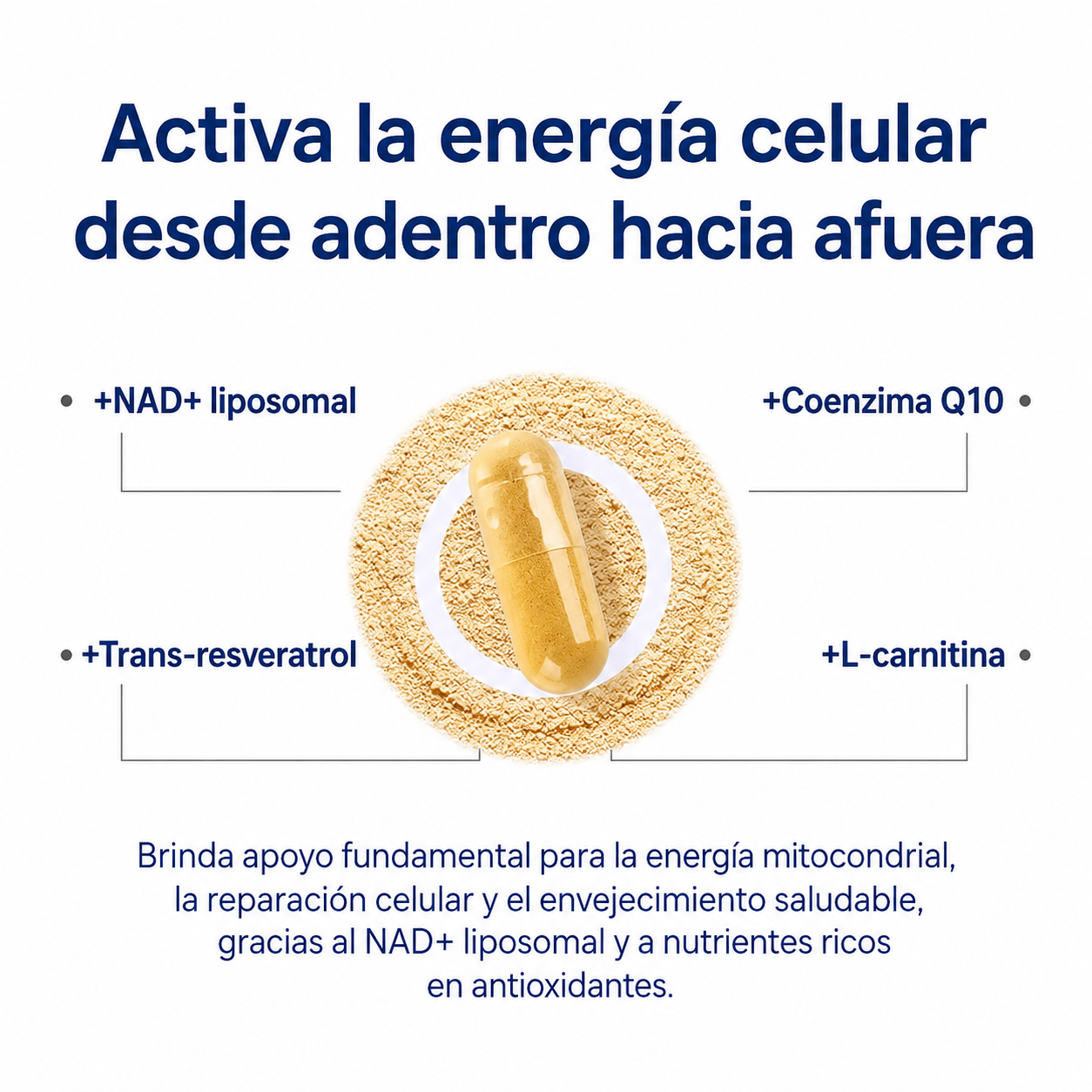 Vantique NAD+ — Suplemento para Hombres