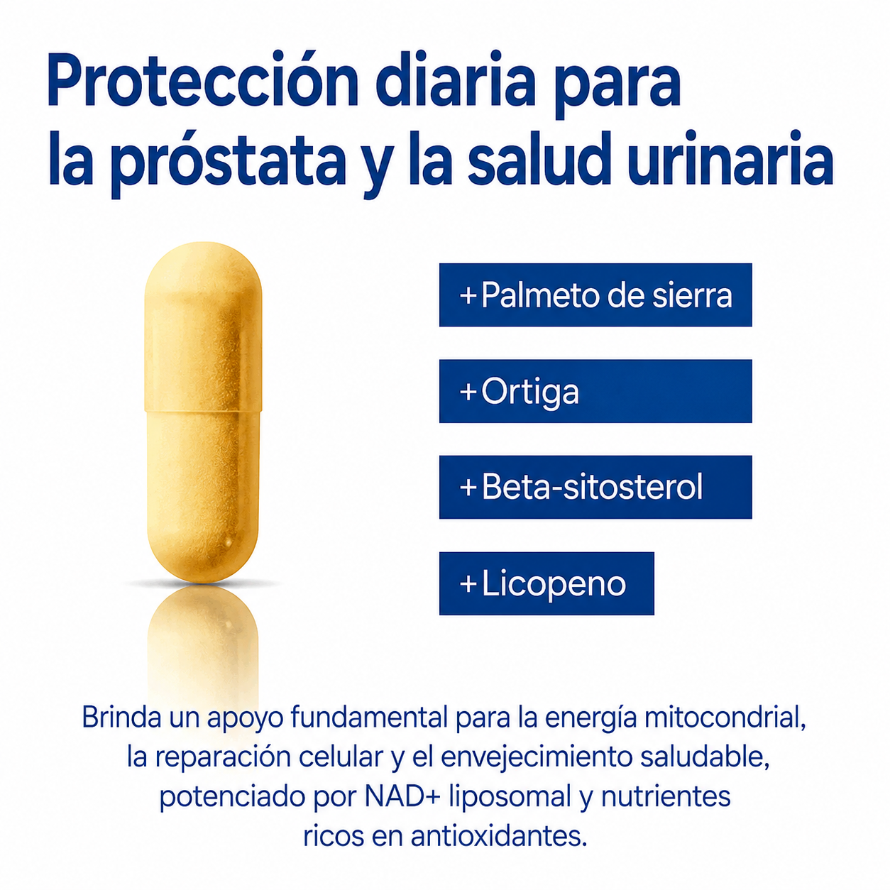 Vantique NAD+ — Suplemento para Hombres